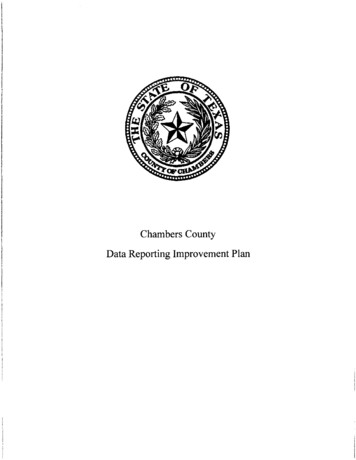 Chambers County Data Reporting Improvement Plan - Texas