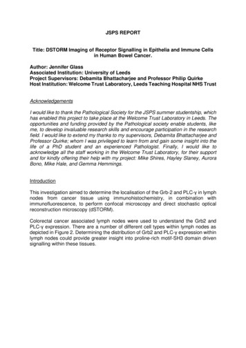 JSPS REPORT Title: DSTORM Imaging Of Receptor Signalling In Epithelia .