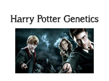 Harry Potter Genetics (Punnett Squares) - Lincoln