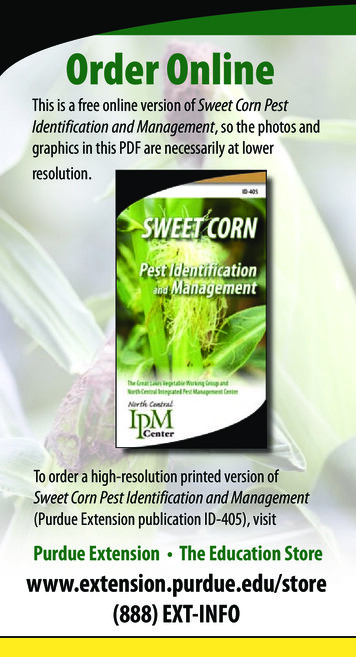 Sweet Corn Pest Identification And Management