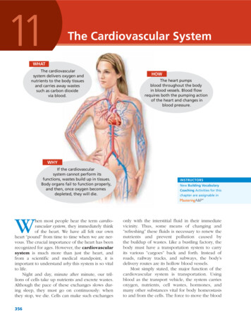 The Cardiovascular System - Pearson