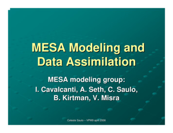 MESA Modeling And Data Assimilation