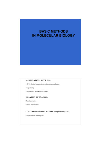 BASIC METHODS IN MOLECULAR BIOLOGY