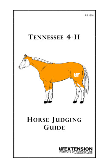 HORSE JUDGING GUIDE