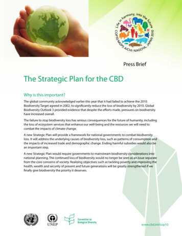 The Strategic Plan For The CBD