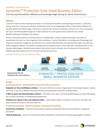 Symantec Protection Suite Small Business Edition - Insight AT