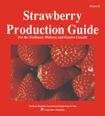 Strawberry Production Guide - CALS