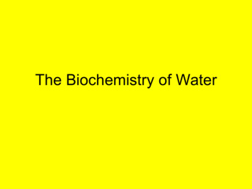 The Biochemistry Of Water - Barbados Underground