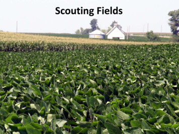 Scouting Fields - Integrated Pest Management