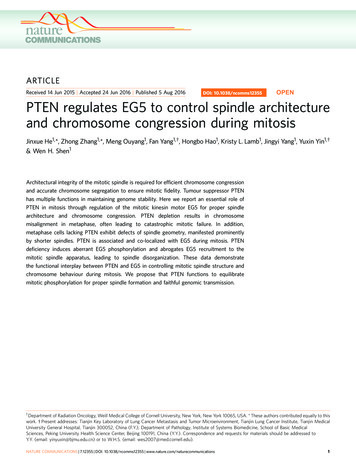 PTEN Regulates EG5 To Control Spindle Architecture And Chromosome .