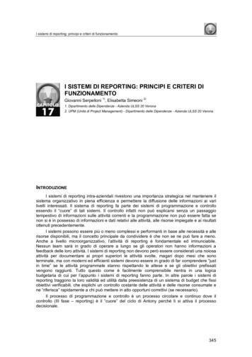 I Sistemi Di Reporting: Principi E Criteri Di Funzionamento - Dronet