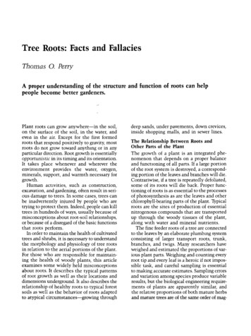 Tree Roots: Facts And Fallacies - Harvard University