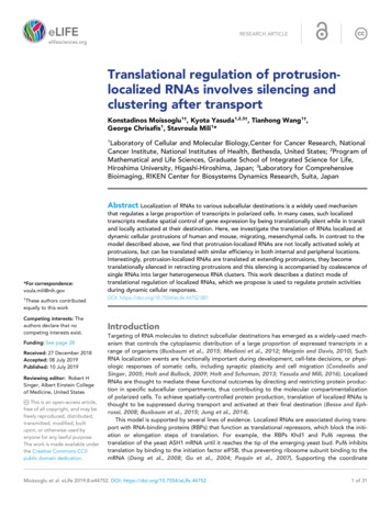 Translational Regulation Of Protrusion- Localized RNAs Involves .