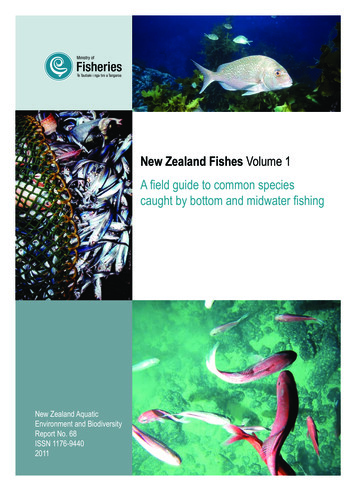 New Zealand Fishes Volume 1 A Field Guide To Common . - MPI