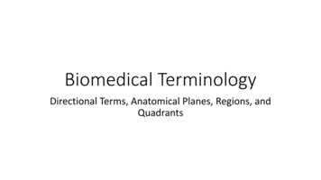 Directional Terms, Anatomical Planes, Regions, And Quadrants