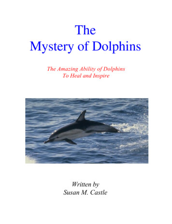 The Mystery Of Dolphins - Dreams Alive