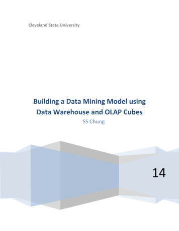 Building A Data Mining Model Using Data Warehouse And OLAP Cubes