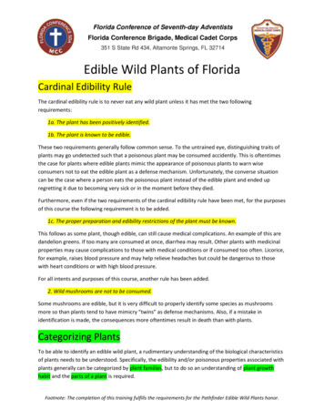 Edible Wild Plants Of Florida