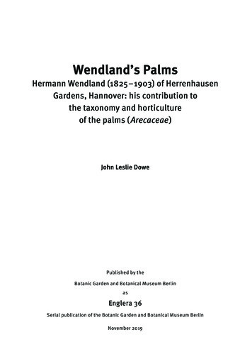 Wendland's Palms - BGBM