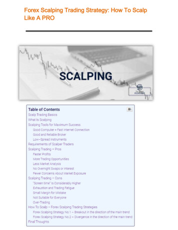 Forex Scalping Trading Strategy: To Scalp How Like A PRO