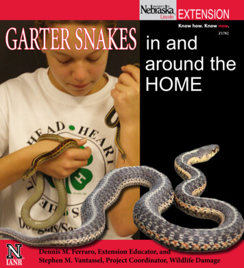 EXTENSION GARTER SNAKES In And Z1782 Around The 