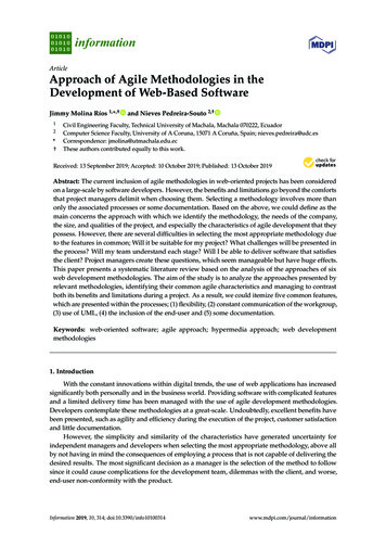Approach Of Agile Methodologies In The Development Of Web-Based Software