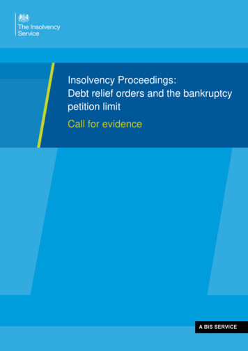 Insolvency Proceedings Debt Relief Orders And Petition Limits V3
