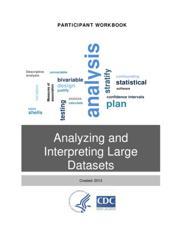 Analyzing And Interpreting Large Datasets