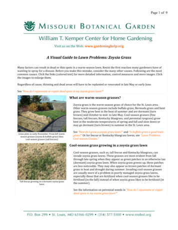 A Visual Guide To Lawn Problems: Zoysia Grass