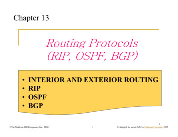 Routing Protocols (RIP, OSPF, BGP) - JMU