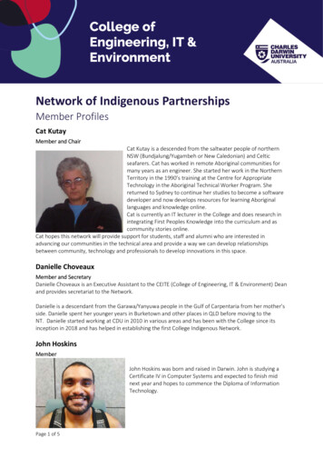 College Of Engineering, IT & Environment Network Of Indigenous Partnerships
