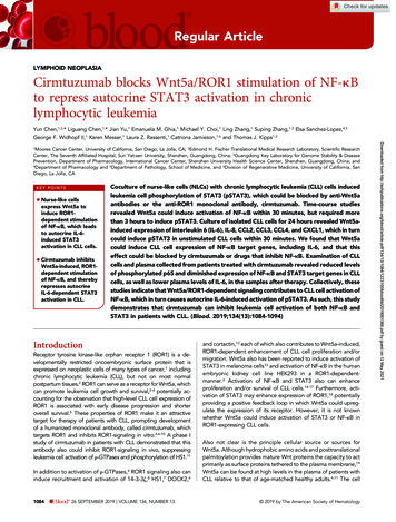 Cirmtuzumab Blocks Wnt5a/ROR1 Stimulation Of NF- B To Repress Autocrine .