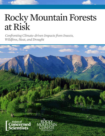 Rocky Mountain Forests At Risk