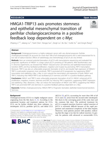 HMGA1-TRIP13 Axis Promotes Stemness And Epithelial Mesenchymal .