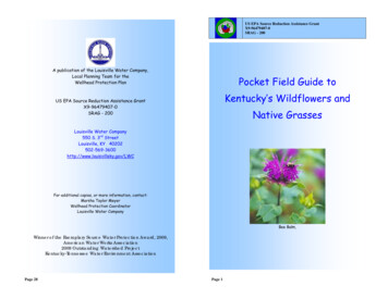 Kentucky’s Wildflowers And SRAG - 200 Native Grasses
