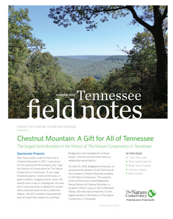 Field Notes SUMMER 2018 Tennessee - Nature