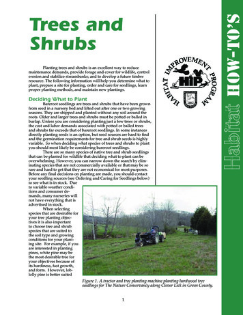 Trees And Shrubs - Kentucky Department Of Fish And .