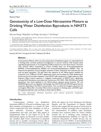 Research Paper Genotoxicity Of A Low-Dose Nitrosamine Mixture As .