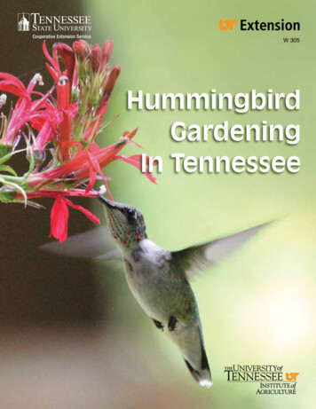 Hummingbird Gardening In Tennessee