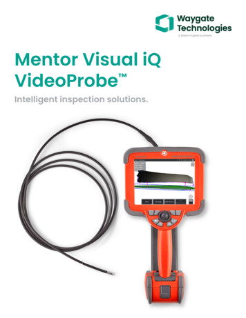 Mentor Visual IQ VideoProbe