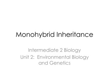Monohybrid Inheritance - Miss Hanson's Biology Resources