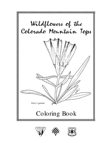 Coloring Book - US Forest Service