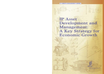 IP Asset Development And Management: A Key Strategy For Economic . - WIPO
