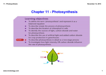 11 - Photosynthesis - Biology