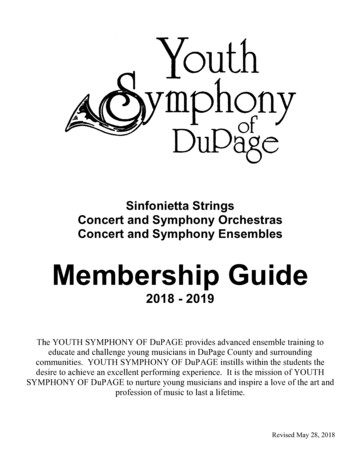 Sinfonietta Strings Concert And Symphony Orchestras Concert And .