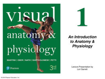 An Introduction To Anatomy & Physiology