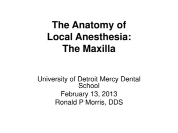 The Anatomy Of Local Anesthesia