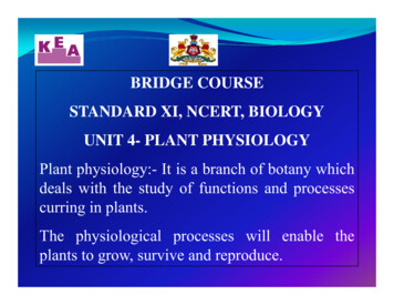 Bridge Course Standard Xi, Ncert, Biology Unit 4- Plant Physiology