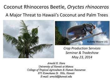 Coconut Rhinoceros Beetle, Oryctes Rhinoceros