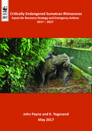 Critically Endangered Sumatran Rhinoceros
